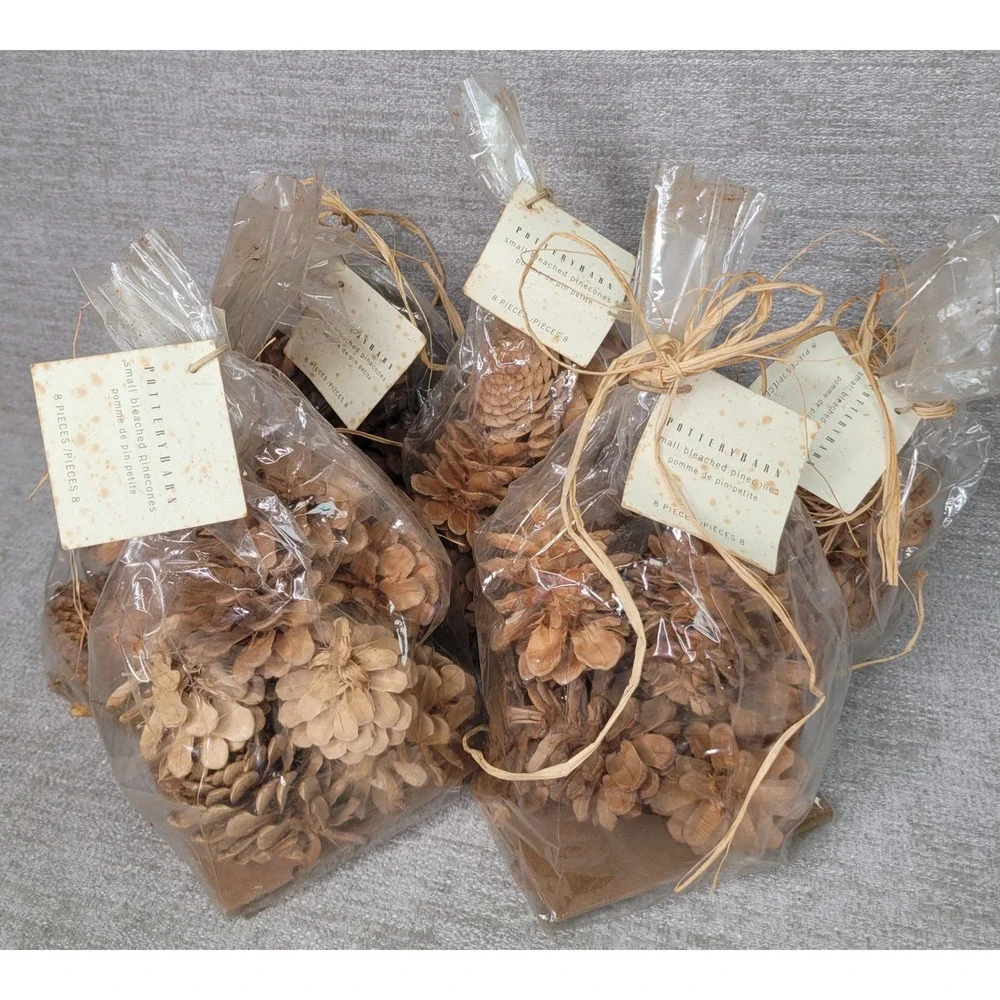 Pottery Barn Small Bleached Pinecones 5 Bags Decorative Bowl or Vase Filler NEW